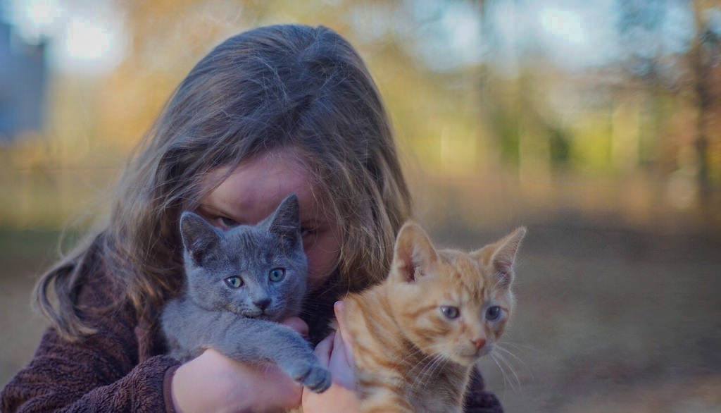  Small girl with 2 cats 