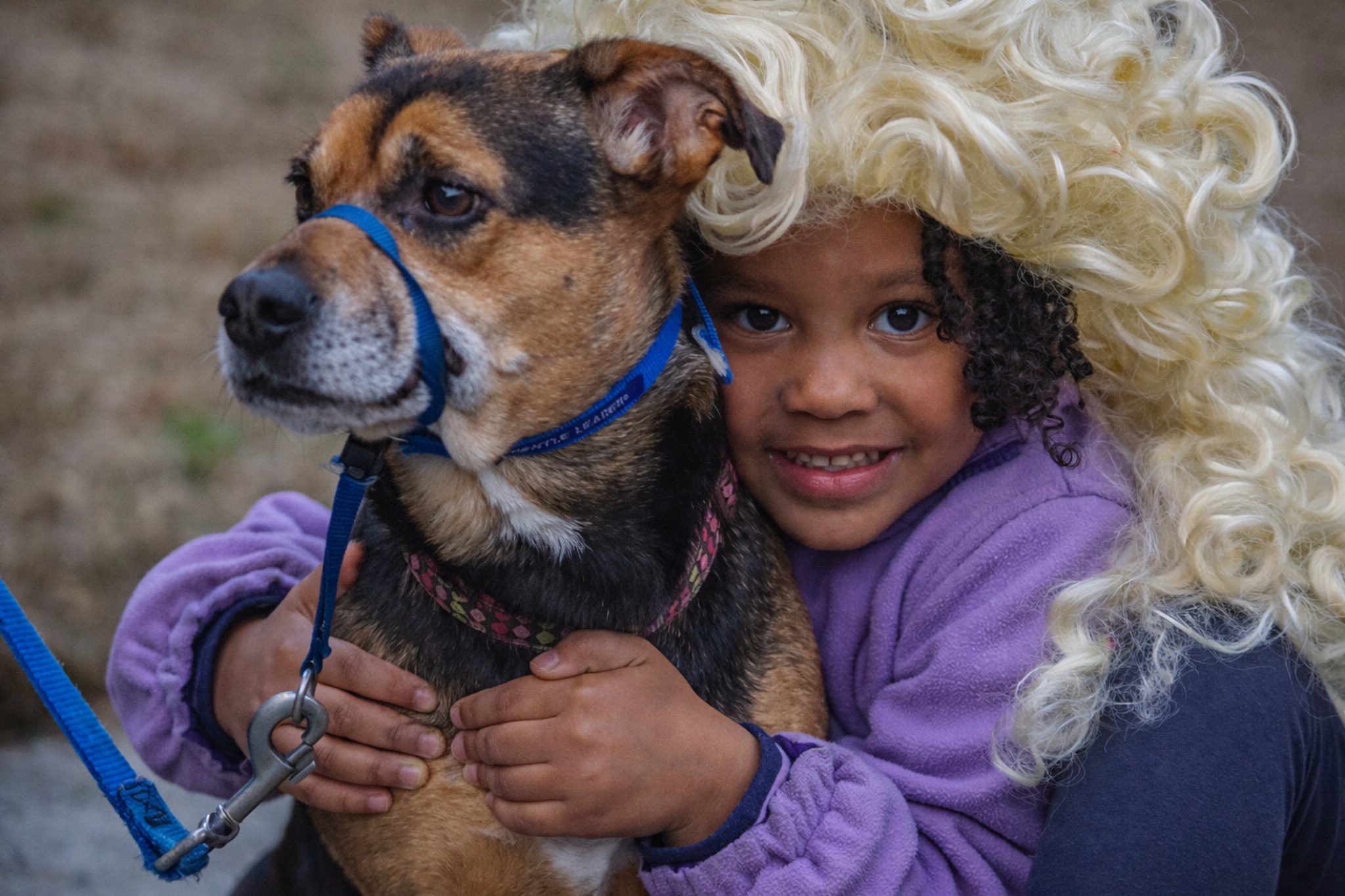  A dog and a little girl 