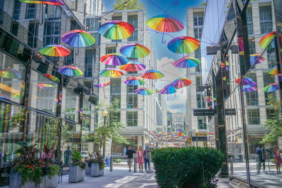  Colorful Palmer Alley 